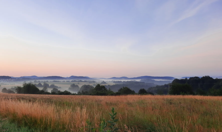 INTENSIVTAG IN ACHTSAMKEITS- ODER VIPASSANA-MEDITATION