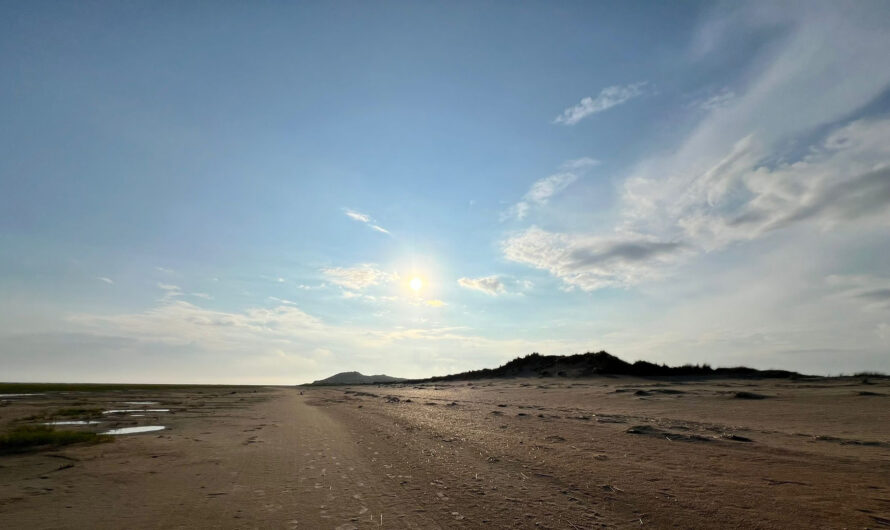 SAMATHA UND VIPASSANA  –   MEDITATION UND KONTEMPLATION